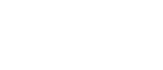 GT Partner Logo 6